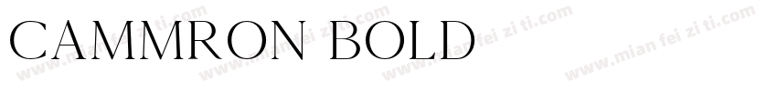 Cammron Bold字体转换